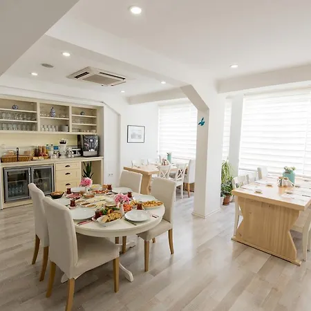 Hotel Minu 4*