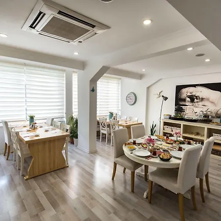 Minu Hotel 4*